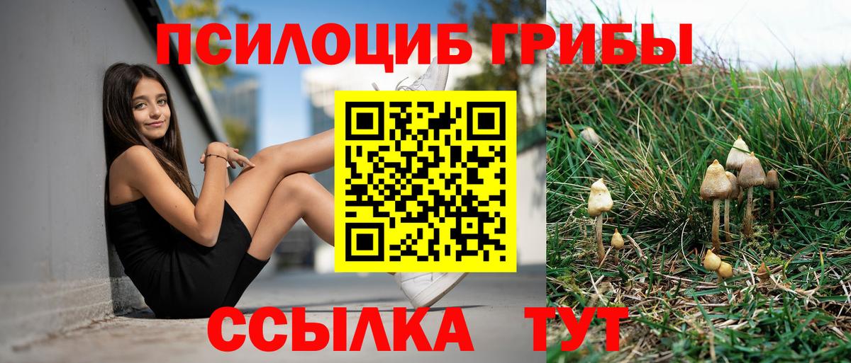 Галлюциногенные грибы Psilocybine cubensis Королёв
